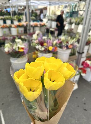 Brentwood Farmers Market by null