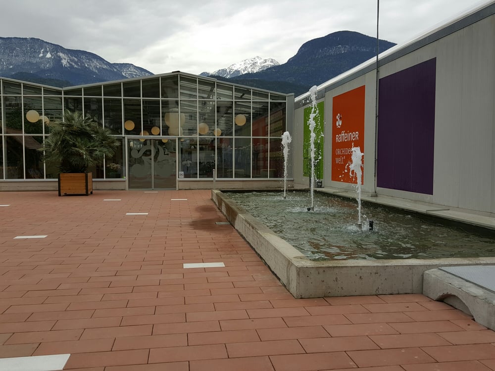 Raffeiner Orchideen Welt