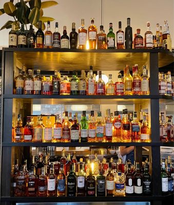 Loyal Legion by null