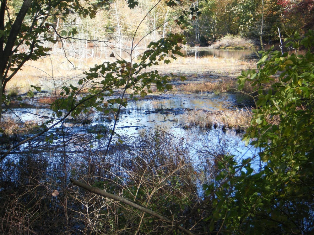 GREAT CEDAR CONSERVATION AREA Updated September 2024 24 Photos