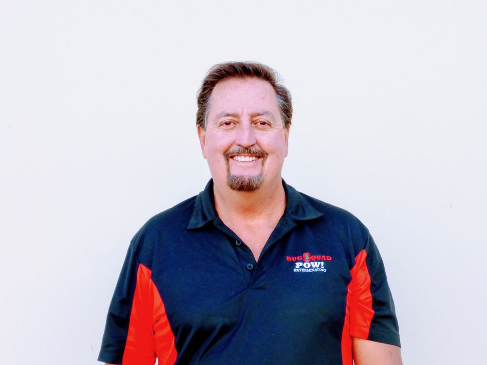 Slide of POW! Bug Squad