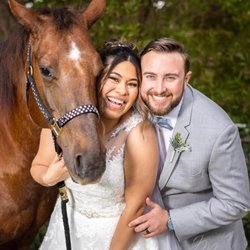 Photos with the horse