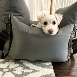 At Your Bark'n Call