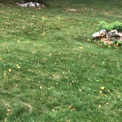 Herriges Lawn & Landscaping