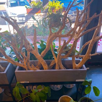 Flower Bar - I need this! - Florists Near Me - Scottsdale, Arizona