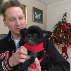 Mister B's Pet Salon Inc