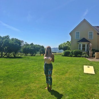 David Hill Winery - Corn hole area - Wineries Near Me - Forest Grove, Oregon