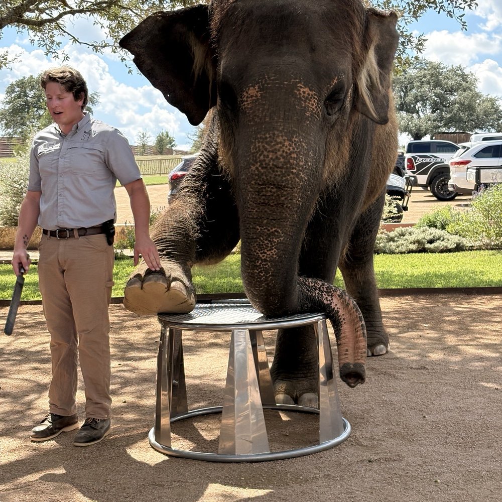 The Preserve - Zoos Near Me - Fredericksburg, Texas