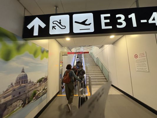 Leonardo da Vinci International Airport by null