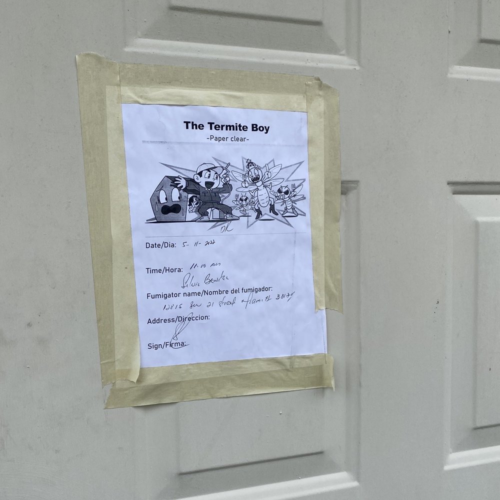 The Termite Boy - Pest Control Near Me - Miami, Florida The Termite Boy - Pest Control Near Me - Miami, Florida
