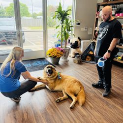 Barking Boots - Barking Boots Loves Dogs of All Sizes!