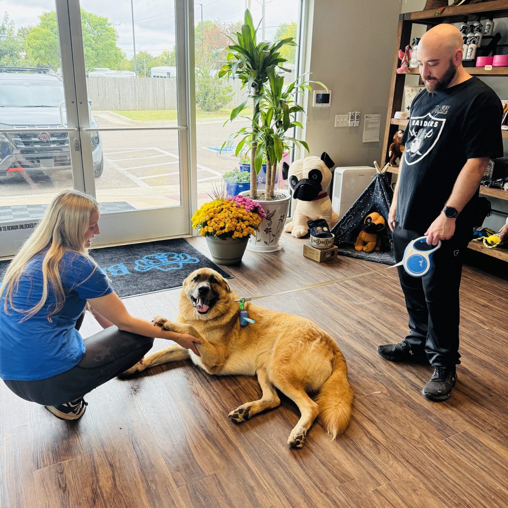 Barking Boots - pet boarding facility in Edmond, OK