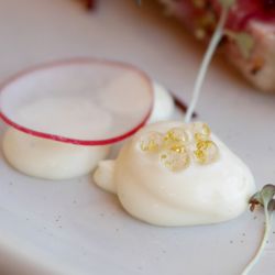Dear Abbey - Radish, Wasabi Mayo and Angel Tears