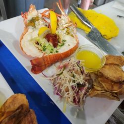 Fresh Florida lobster