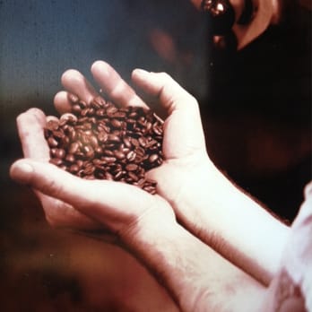 Peet's Coffee - Sacred Grounds - Coffee & Tea Near Me - Roseville, California Peet's Coffee - Sacred Grounds - Coffee & Tea Near Me - Roseville, California