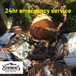 Everest Tree Service
