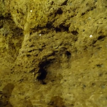 Crystal Cave - crystal cave ... didn't have many crystals
they used to put coins in cave wall - Amusement Parks Near Me - Spring Valley, Wisconsin Crystal Cave - crystal cave ... didn't have many crystals
they used to put coins in cave wall - Amusement Parks Near Me - Spring Valley, Wisconsin