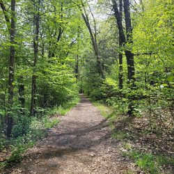 Town Forest Baseball Field - The trail nearby