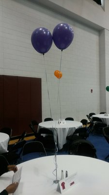 University of South Carolina Aiken by null