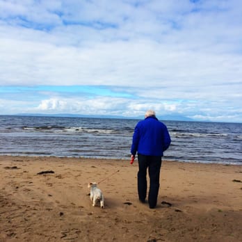 Ayr Beach - Beaches Near Me Ayr Beach - Beaches Near Me
