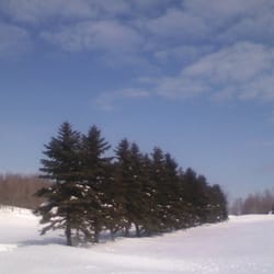 Waters Run Guest House & Suite - The long tree-lined and snow-covered driveway