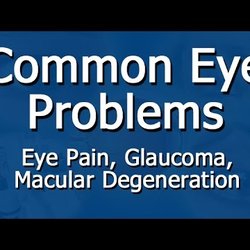 Hudson Valley Eye Doctor, Elaina M. Groo, O.D. John Kaknis, O.D - Yearly comprehensive eye examinations for diagnosis and treatment of common eye problems.