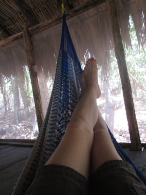 Jardín Botanico Dr. Alfredo Barrera Marín by null