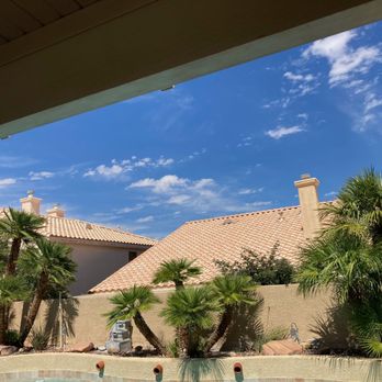 RedGator Tree Trimmin' and Landscape - Palms before trim - Tree Services Near Me - Las Vegas, Nevada