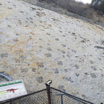 Dinosaur Ridge - Museums Near Me - Morrison, Colorado Dinosaur Ridge - Museums Near Me - Morrison, Colorado