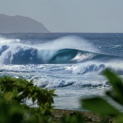 Jordan Levin Photography - Off The Wall