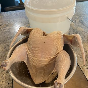 The Reno Homebrewer - Reno home brewer sold me the food safe 2 gallon bucket I needed for brining chickens for the family dinner. - Brewing Supplies Near Me - Reno, Nevada The Reno Homebrewer - Reno home brewer sold me the food safe 2 gallon bucket I needed for brining chickens for the family dinner. - Brewing Supplies Near Me - Reno, Nevada