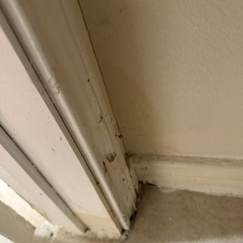 Bexley Anderson Mill - More mold and mildew in walls - Apartments Near Me - Austin, Texas