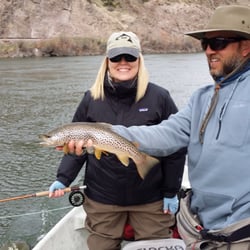 Montana Dream Fishing Outfitters - Carol's brown