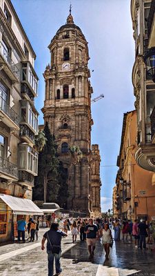 Santa Iglesia Catedral Basílica de la Encarnación de Málaga by null
