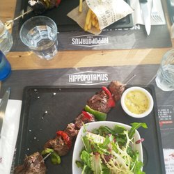 Hippopotamus
