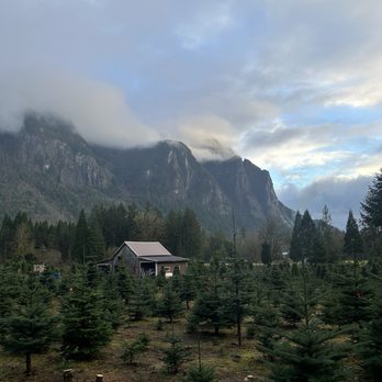 Mountain Creek Tree Farm - Nurseries & Gardening Near Me - Snoqualmie, Washington