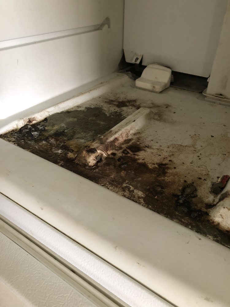 PETER’S APPLIANCE Updated August 2024 10 Reviews 978 W 400 S