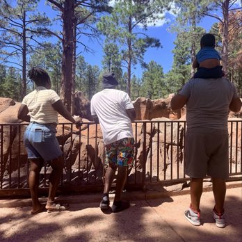 Bearizona - Zoos Near Me - Williams, Arizona