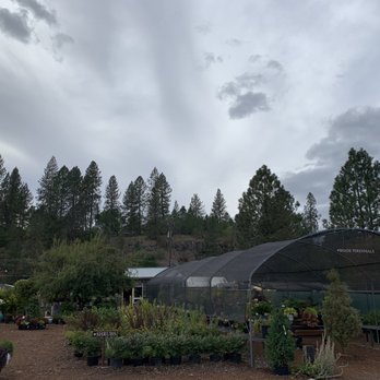 Blue Moon Garden and Nursery - Nurseries & Gardening Near Me - Spokane, Washington Blue Moon Garden and Nursery - Nurseries & Gardening Near Me - Spokane, Washington