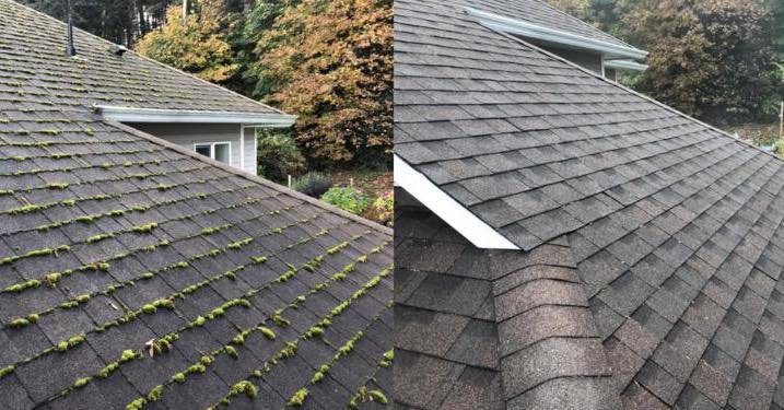 Slide of North West Fresh Roof