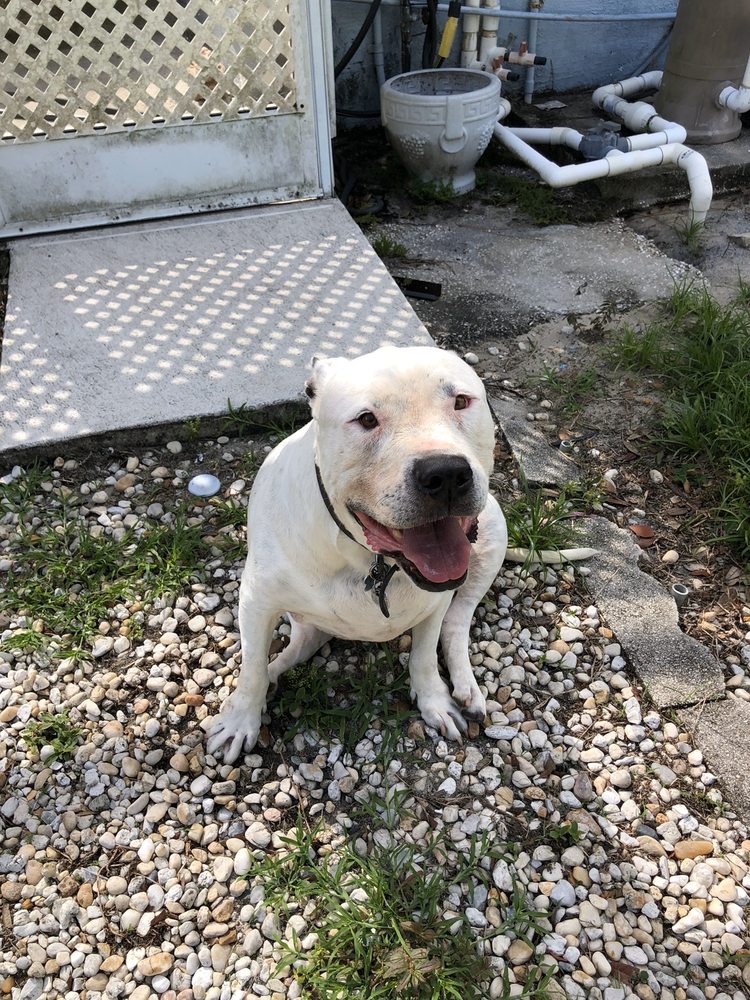 CRITTER BOARDING 17 Photos & 10 Reviews 15240 County Line Rd