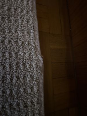 Taylor Carpet One Floor & Home