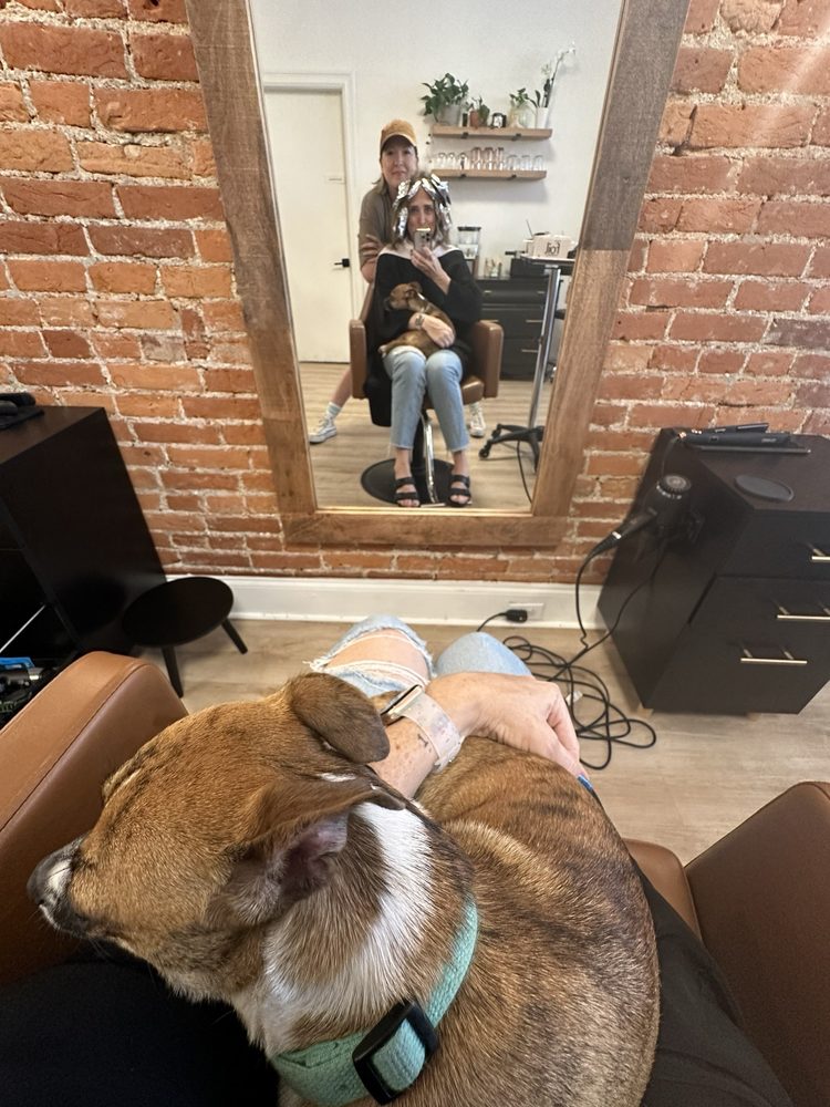 Greenhouse Salon Logo