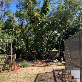 McGuire Tree Service and Land Clearing llc - Tree Services Near Me - Spring Hill, Florida McGuire Tree Service and Land Clearing llc - Tree Services Near Me - Spring Hill, Florida