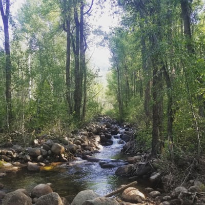 Hunter Creek Trail Head by null
