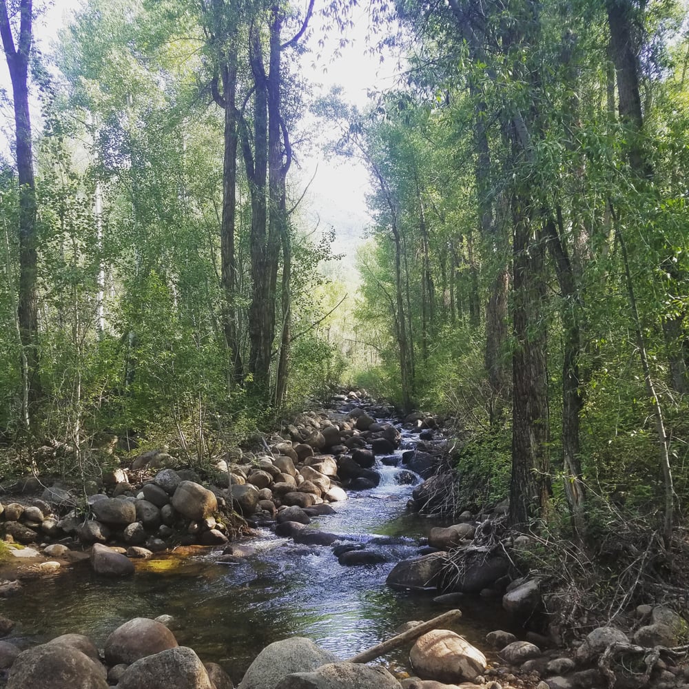 THE HUNTER CREEK TRAIL 13 Photos Aspen, Colorado Hiking Yelp