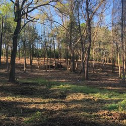ClearYourLand.com - Sloped property underbrush clearing