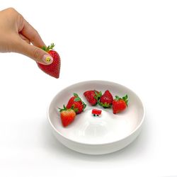 Sisu - MoMA Design
La Maison Inondee Bowl