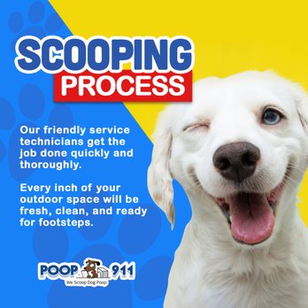 Poop 911 - Pet Waste Removal Near Me Poop 911 - Pet Waste Removal Near Me