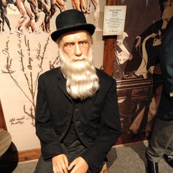 Potter's Wax Museum - Museums Near Me - St Augustine, Florida Potter's Wax Museum - Museums Near Me - St Augustine, Florida